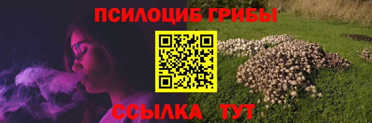 Галлюциногенные грибы Psilocybe  Вход с VPN  Галлюциногенные грибы Psilocybe  Кемерово 